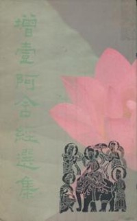 Image of 增壹阿含经选集