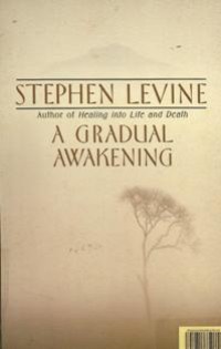 Image of A Gradual Awakening