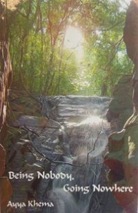 Image of Being Nobody, Going Nowhere : Meditations on the Buddhist Path