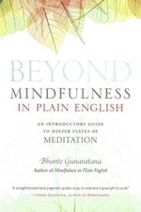Image of Beyond Mindfulness in Plain English