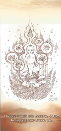 Image of Cannot Reach the Buddha, Why?