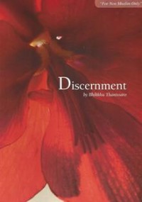 Image of Discernment