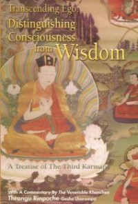 Image of Transcending Ego : Distinguishing Consciousness from Wisdom