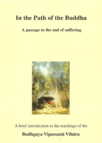 Image of In the Path of the Buddha : A Passage to the End of Suffering