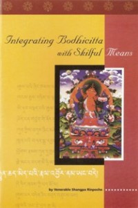 Image of Integrating Bodhicitta with Skillful Means
