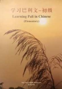 Image of 学习巴利文 —— 初级 (Learning Pali in Chinese - Elementary)