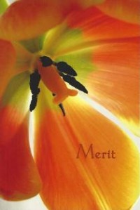 Image of Merit : The Buddha's Strategies for Happiness ( A Study Guide )