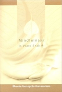Image of Mindfulness in Plain English