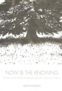 Image of Now is the Knowing