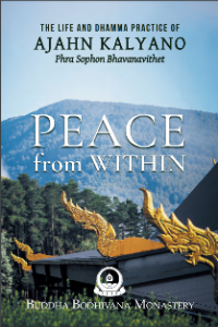 Image of Peace from Within : The Life and Dhamma Practice of Ajahn Kalyano