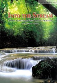 Image of Into the Stream