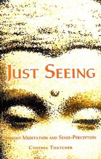 Image of Just Seeing : Insight Meditation and Sense-Perception