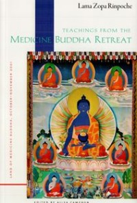 Image of Teachings from the Medicine Buddha Retreat