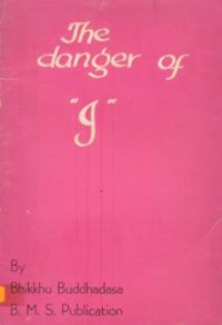 Image of The Danger of 