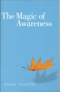 Image of The Magic of Awareness