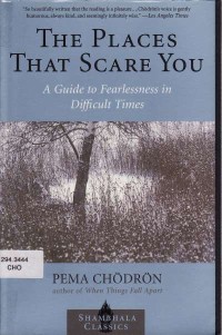 Image of The Places that Scare You : A Guide to Fearlessness in Difficult Times