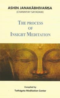 Image of The Process of Insight Meditation