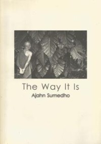 Image of The Way It Is