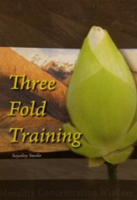 Image of Three Fold Training