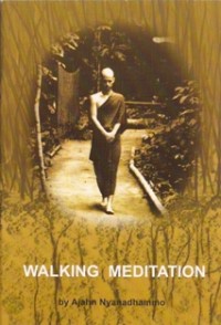 Image of Walking Meditation