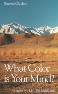 Image of What Color is Your Mind?