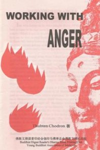 Image of Working with Anger