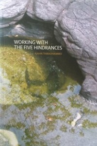 Image of Working with the Five Hindrances
