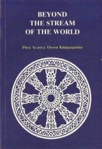 Image of Beyond the Stream of the World