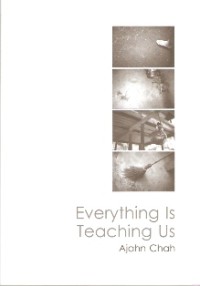 Image of Everything is Teaching Us