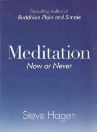 Image of Meditation : Now or Never