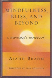 Image of Mindfulness, Bliss, and Beyond : A Meditator's Handbook
