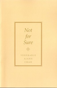 Image of Not for Sure