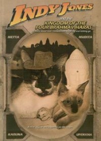 Image of Indy Jones and the Kingdom of the Four Brahmaviharas