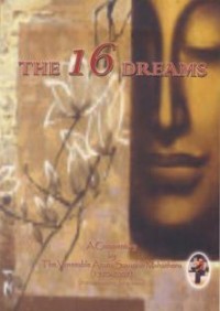 Image of The 16 Dreams