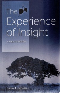 Image of The Experience of Insight : A Natural Unfolding