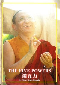 Image of The Five Powers 谈五力