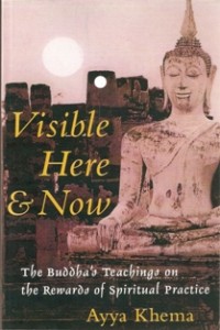 Image of Visible Here & Now : The Buddha's Teachings on the Rewards of Spiritual Practice