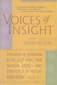 Image of Voices of Insight